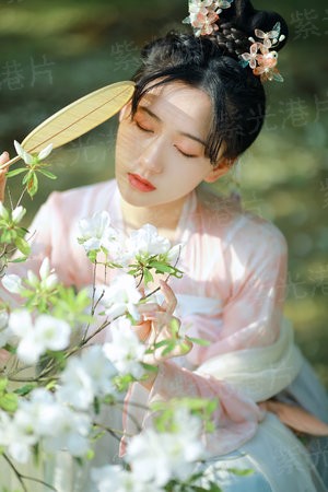 全职进化武装卡牌