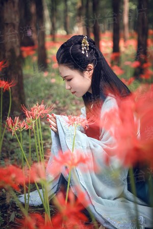 超级VIP系统