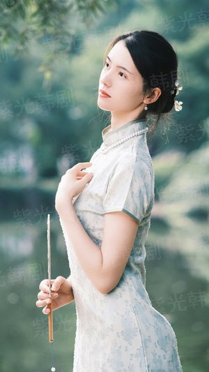 落雁传说
