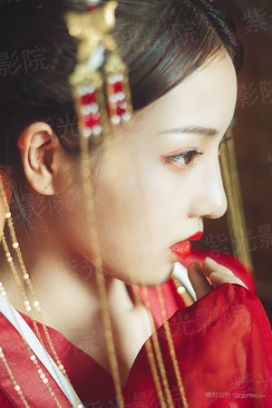 中华高手横扫异界