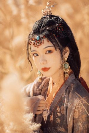 帝君猛追妻：冥主是个面瘫