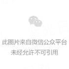 捡个正太去种田