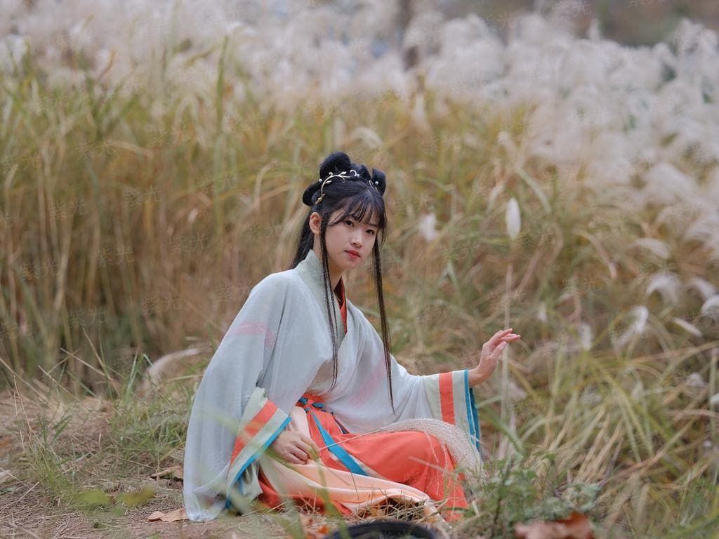 一帘风月娴