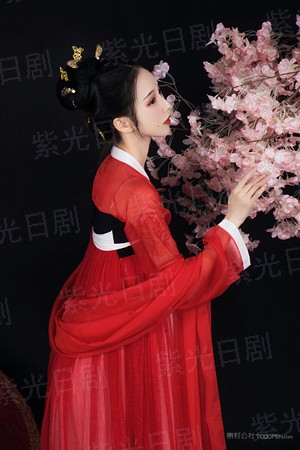 贫僧法号不戒色