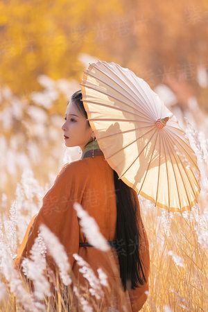 豪门惊情，霸道首席缠上瘾