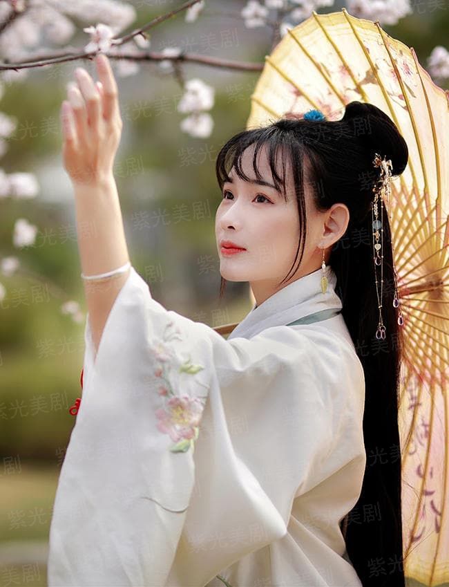 首席大人好了没