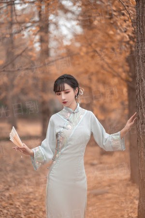 火线追凶2之同名为仇